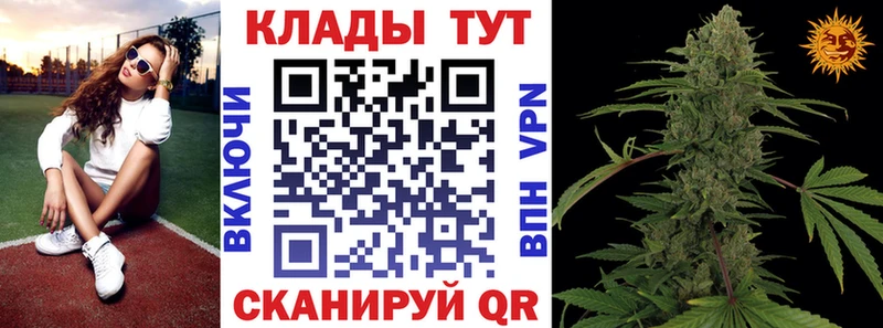 Купить закладку Петропавловск-Камчатский Гашиш  A PVP  МЕФ  Амфетамин  КОКАИН 