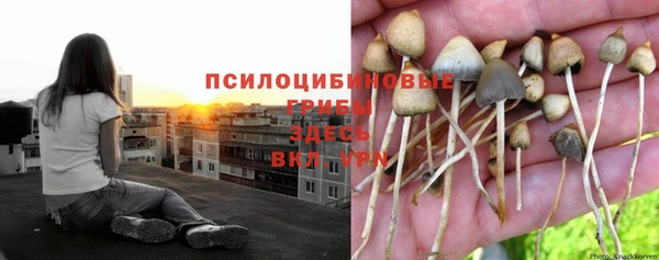 дмт Лиски