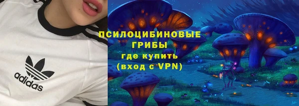 ПСИЛОЦИБИНОВЫЕ ГРИБЫ Лихославль