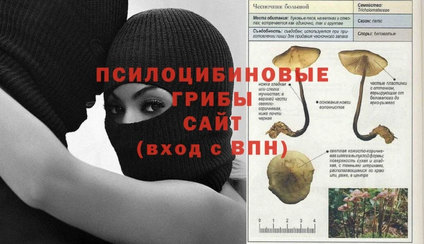 соль ск Липки