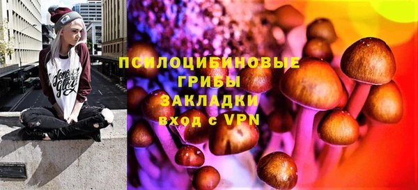 соль ск Липки