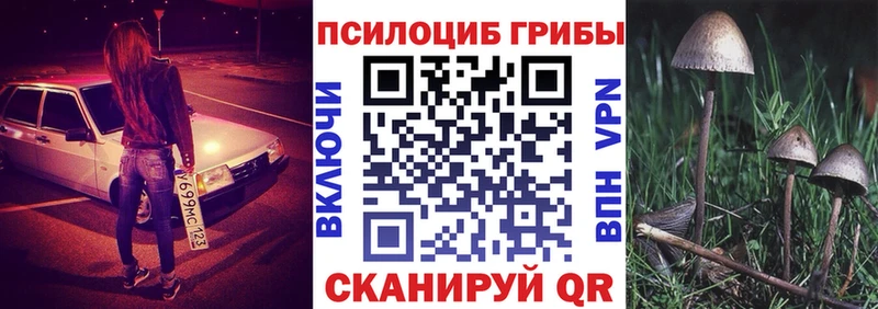 Галлюциногенные грибы Psilocybe Петропавловск-Камчатский