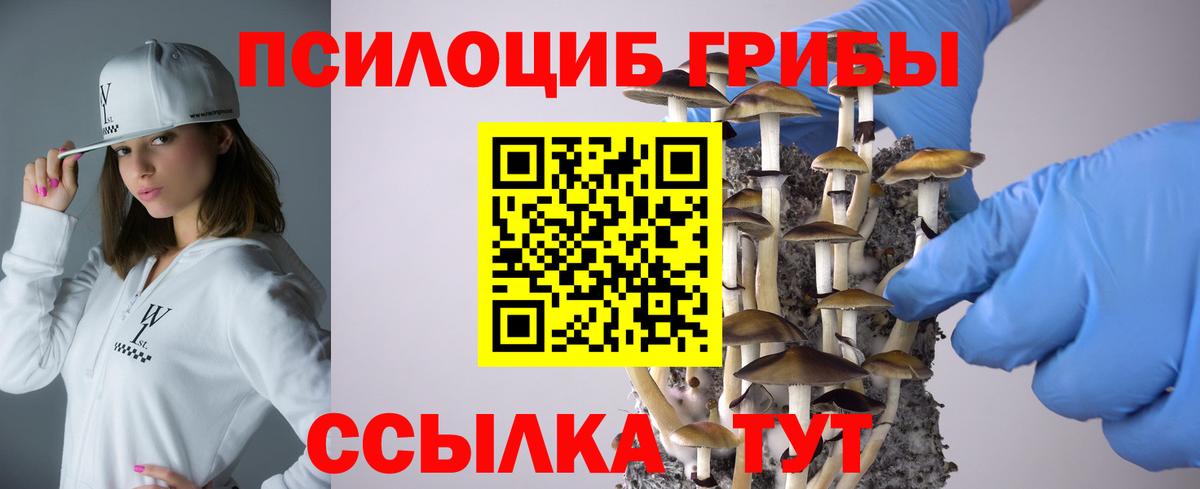 Псилоцибиновые грибы ЛСД  Вход с VPN  Петропавловск-Камчатский 