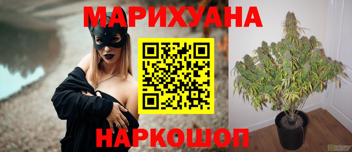 Каннабис планчик Петропавловск-Камчатский